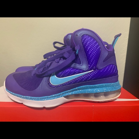 lebron 9s hornets
